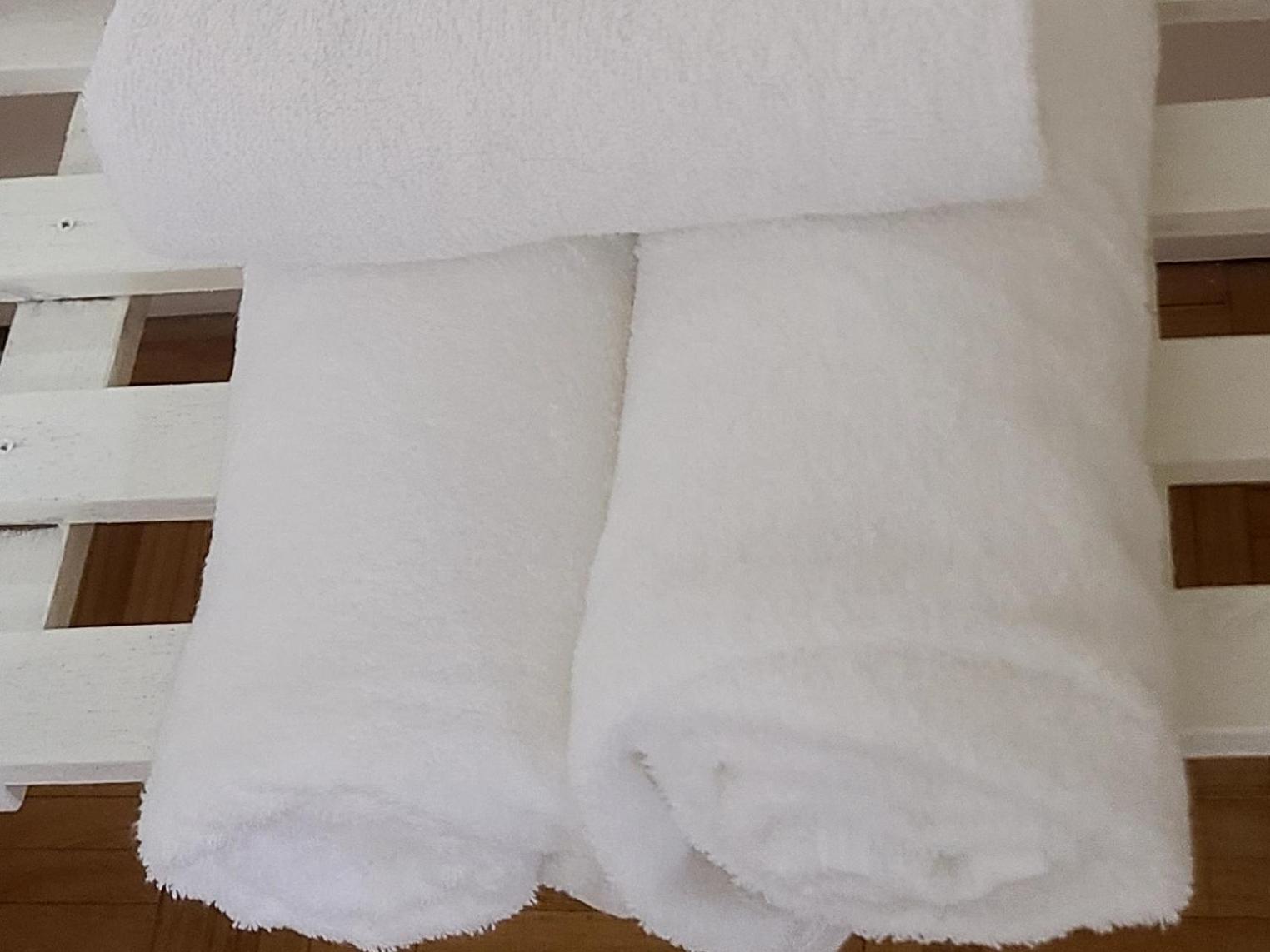 Homestay For Rent In Antwerp